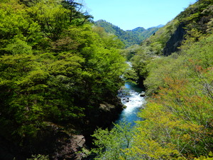DSCN9644