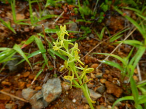 DSCN9502
