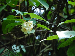 DSCN0209