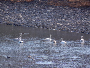 DSCN0271
