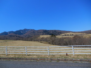 DSCN7626