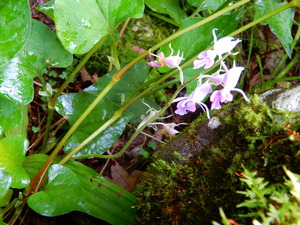 DSCN0101