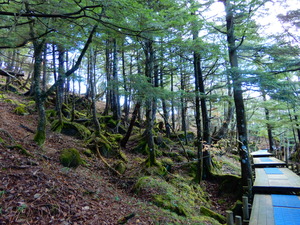 DSCN9884