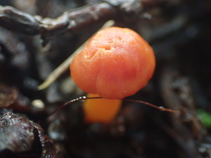 P9231120