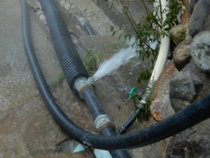 DSCN0576
