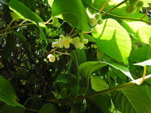 DSCN0222