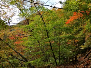 DSCN4312