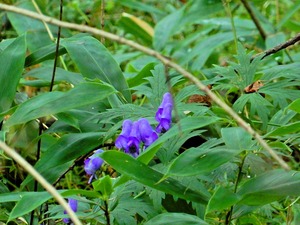 DSCN9804