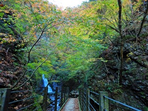 DSCN2024
