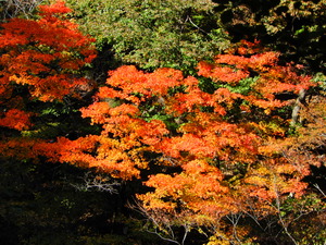DSCN0160