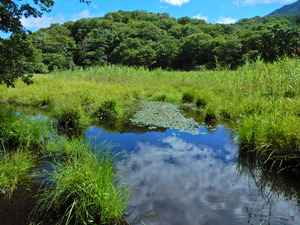 DSCN0075