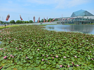 DSCN0375