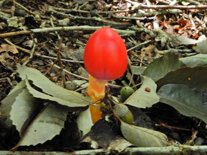 DSCN0904