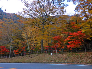 DSCN0462