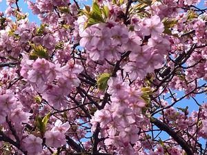 IMG_1849