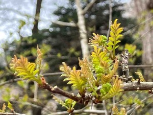 IMG_8814