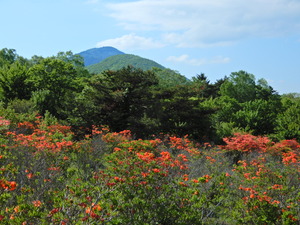 DSCN0153