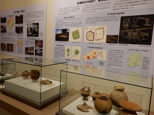 DSCN1005