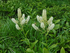DSCN0140