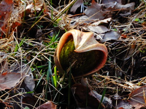 DSCN0067