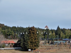 DSCN8862