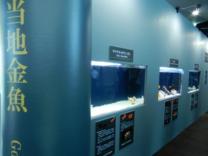 DSCN0845