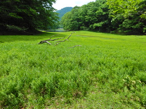 DSCN9435