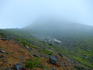 DSCN9354