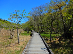 DSCN0334