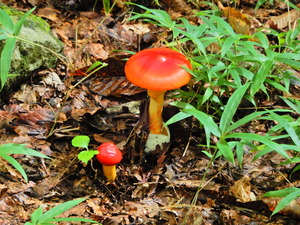 DSCN1062