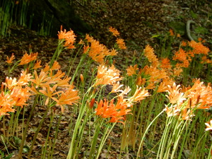 DSCN9836
