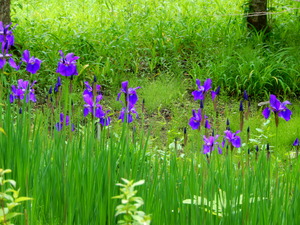 DSCN0978