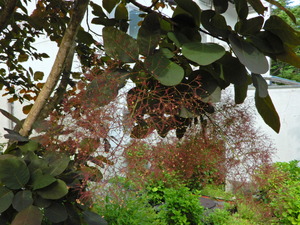 DSCN0346