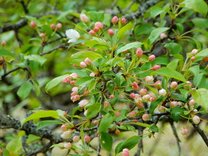 DSCN0655