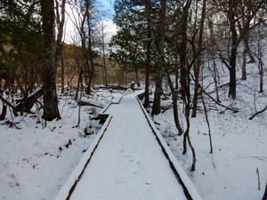 DSCN0868