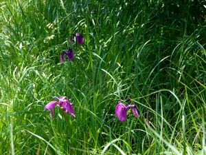 DSCN0683