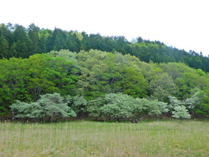 DSCN9553