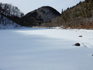DSCN0300
