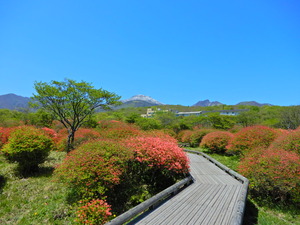DSCN9727