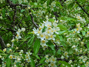 DSCN9608