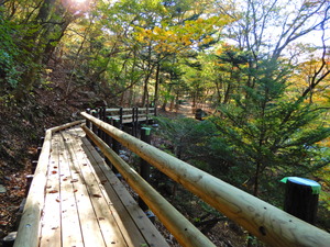 DSCN0301