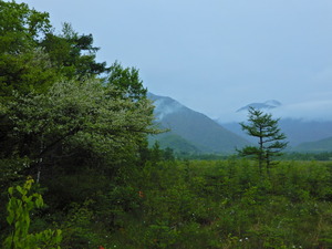 DSCN9553