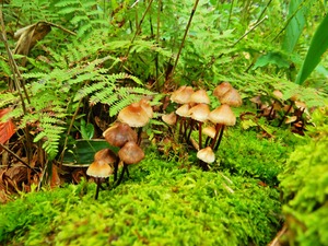 DSCN9822