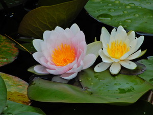 DSCN0120