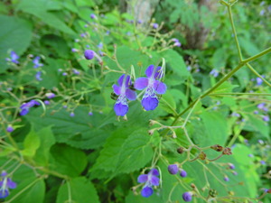 DSCN9646