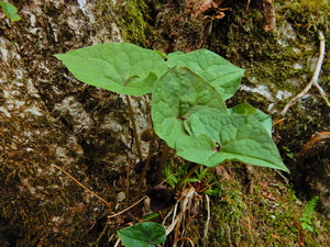 DSCN9659