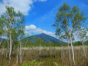 DSCN0774