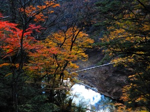 DSCN9615