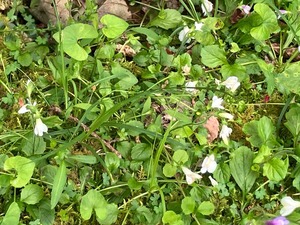 IMG_9735