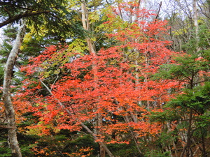 DSCN9629